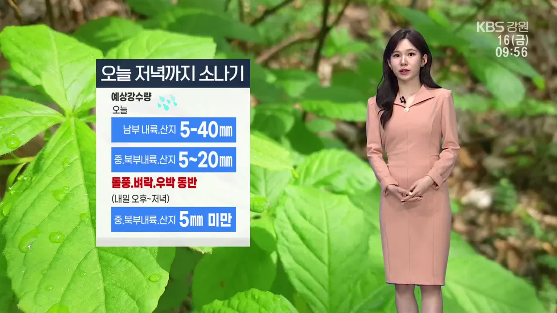 [날씨] 강원 오늘 저녁까지 최대 40mm 비…돌풍·벼락·우박 주의!