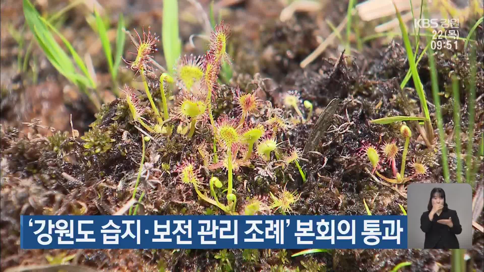 ‘강원도 습지·보전 관리 조례’ 본회의 통과