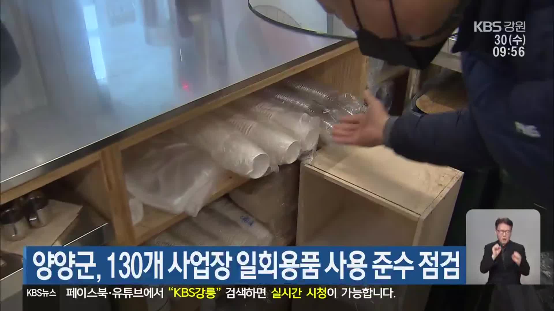 양양군, 130개 사업장 일회용품 사용 준수 점검