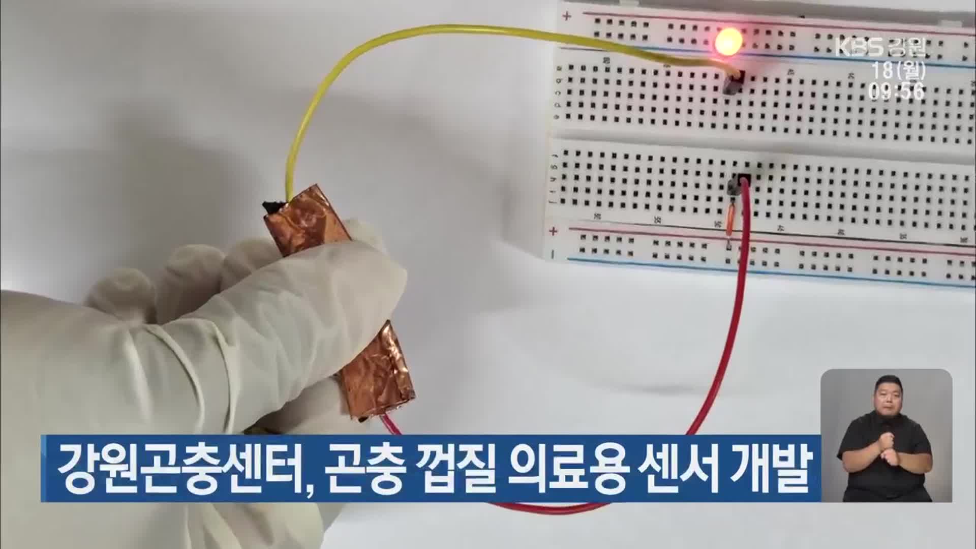 강원곤충센터, 곤충 껍질 의료용 센서 개발
