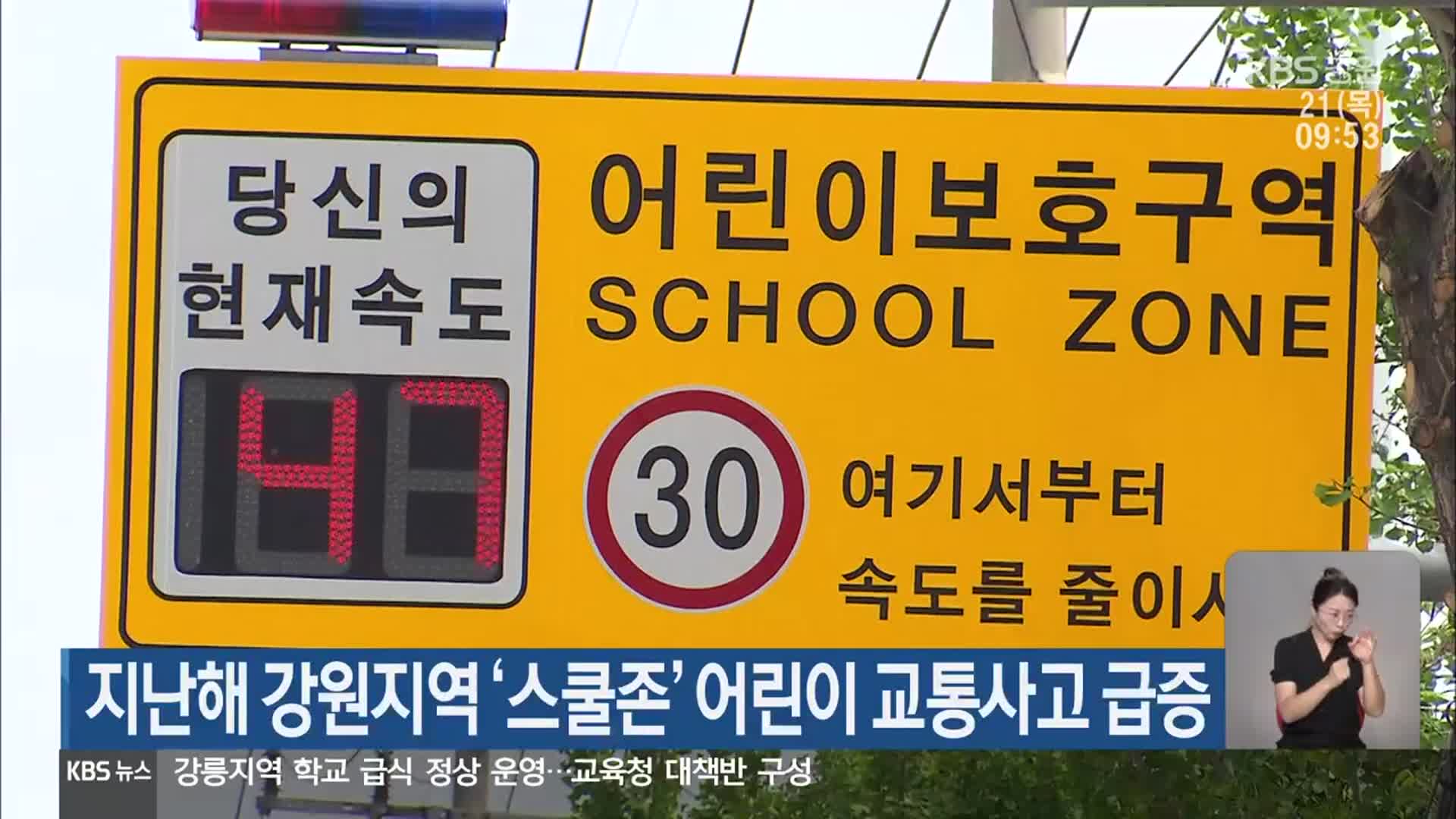 지난해 강원지역 ‘스쿨존’ 어린이 교통사고 급증