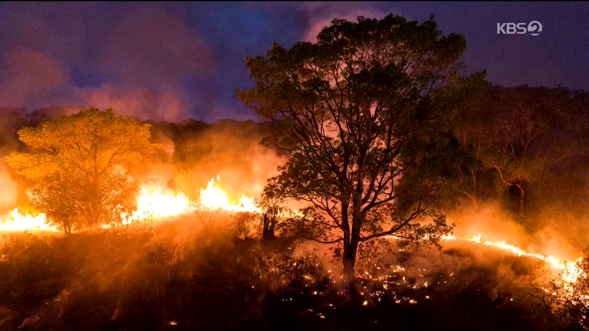[지구촌 포토] 브라질 열대습지 화재 만4천여 건…비상사태 선포