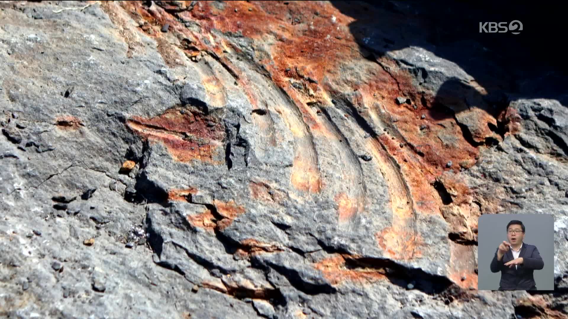 러 7살 꼬마가 발견한 바위, 2억5천만 년 전 ‘어룡 화석’ 