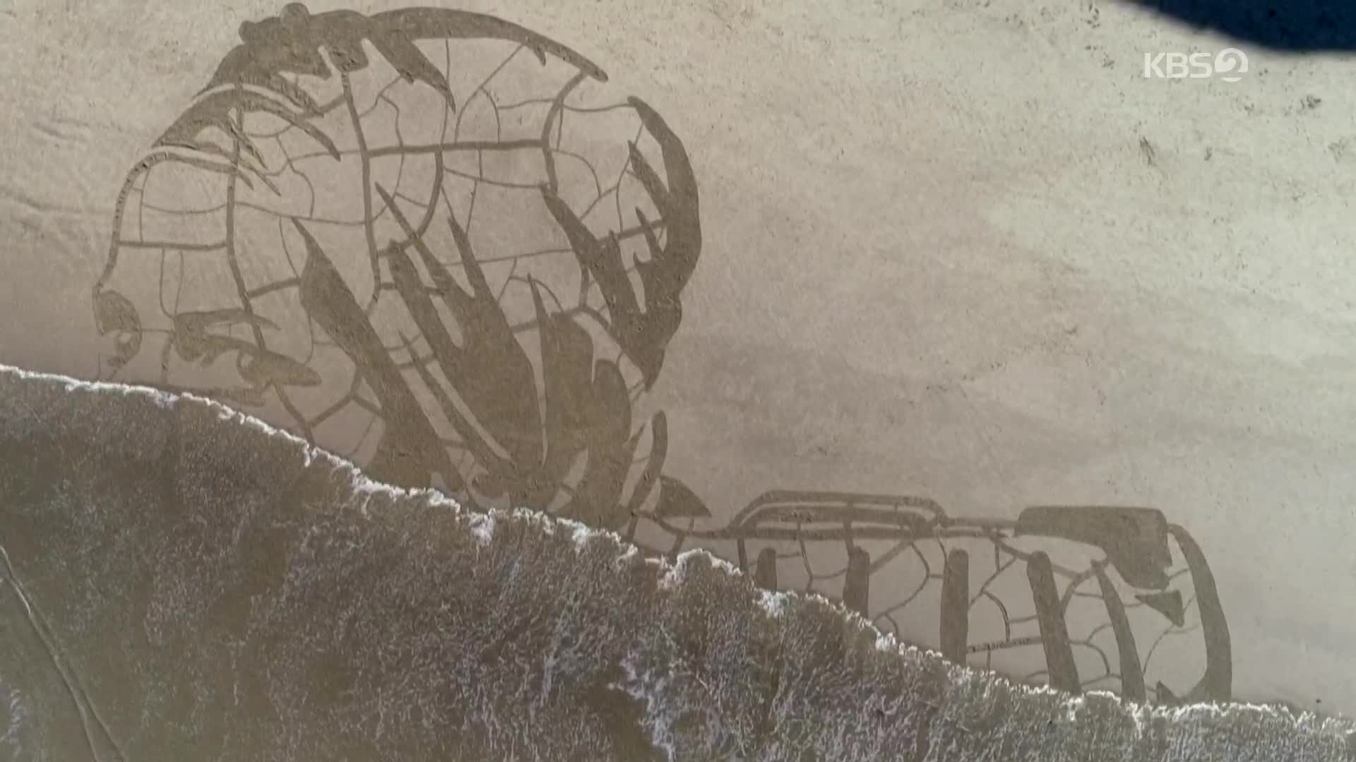 [지구촌 포토] 영국 해변에 등장한 거대 초상화…물 부족 사태 인식 촉구