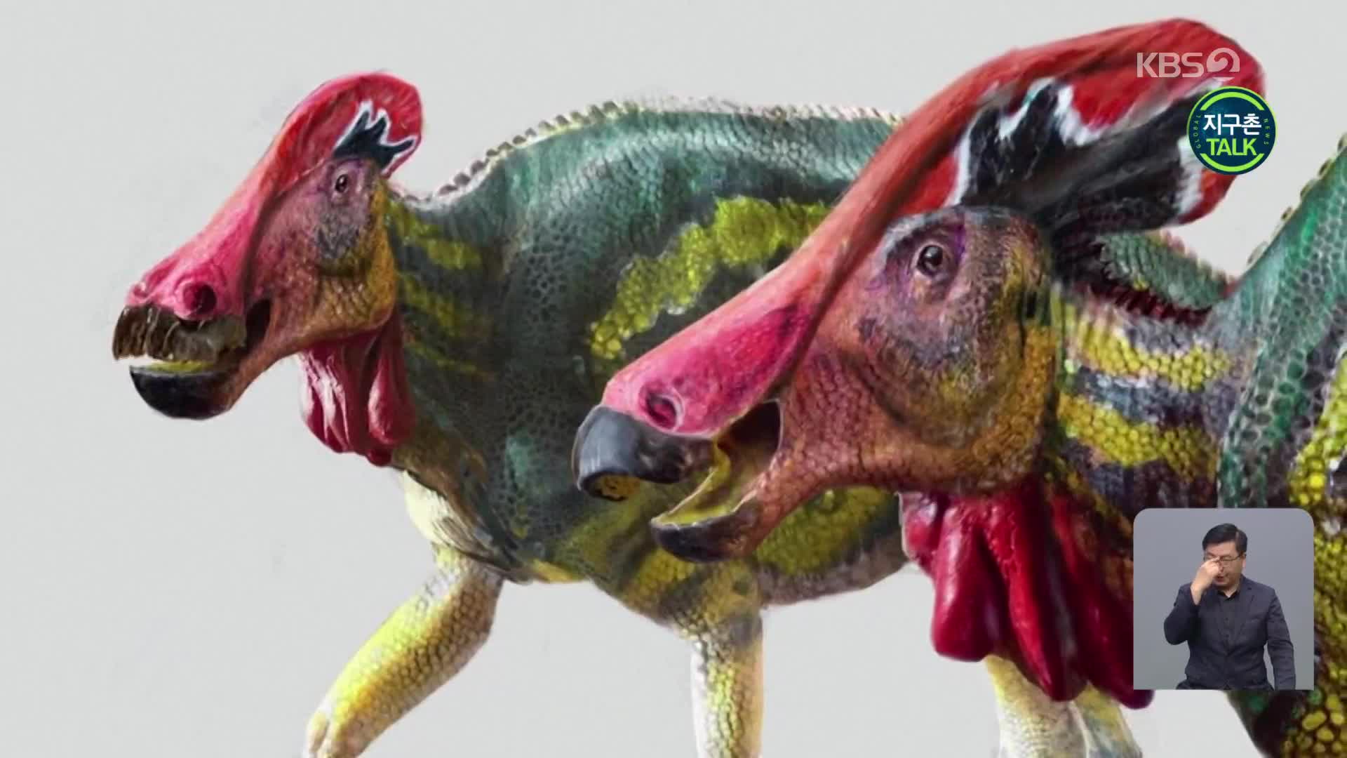[지구촌 Talk] 신종 공룡 화석의 정체는?…수탉처럼 볏이 달려