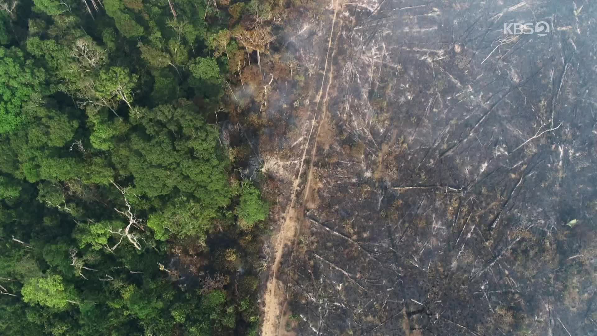 [지구촌 포토] 환경운동가들, 아마존산 콩 수입한 프랑스 정부에 항의