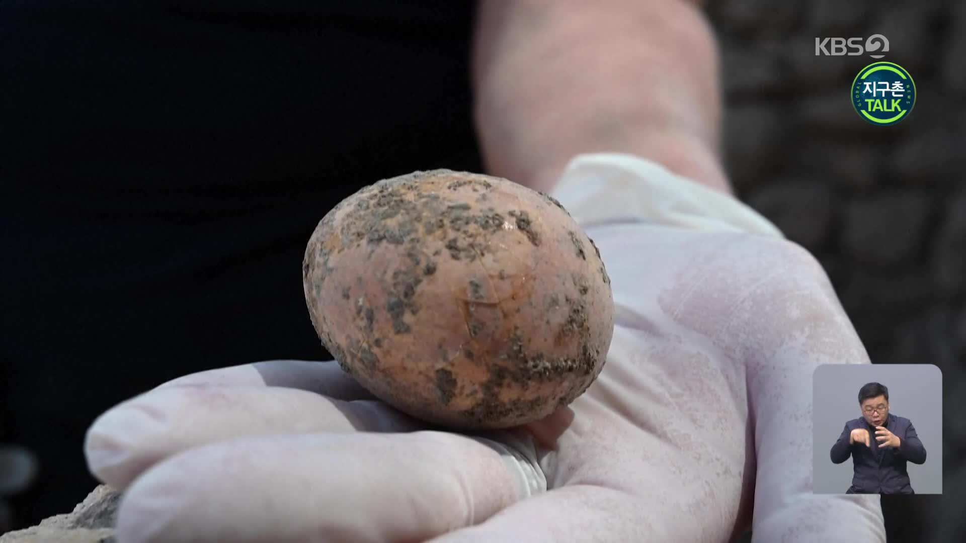 [지구촌 Talk] 천 년 된 달걀 화석, 온전한 형태로 발견
