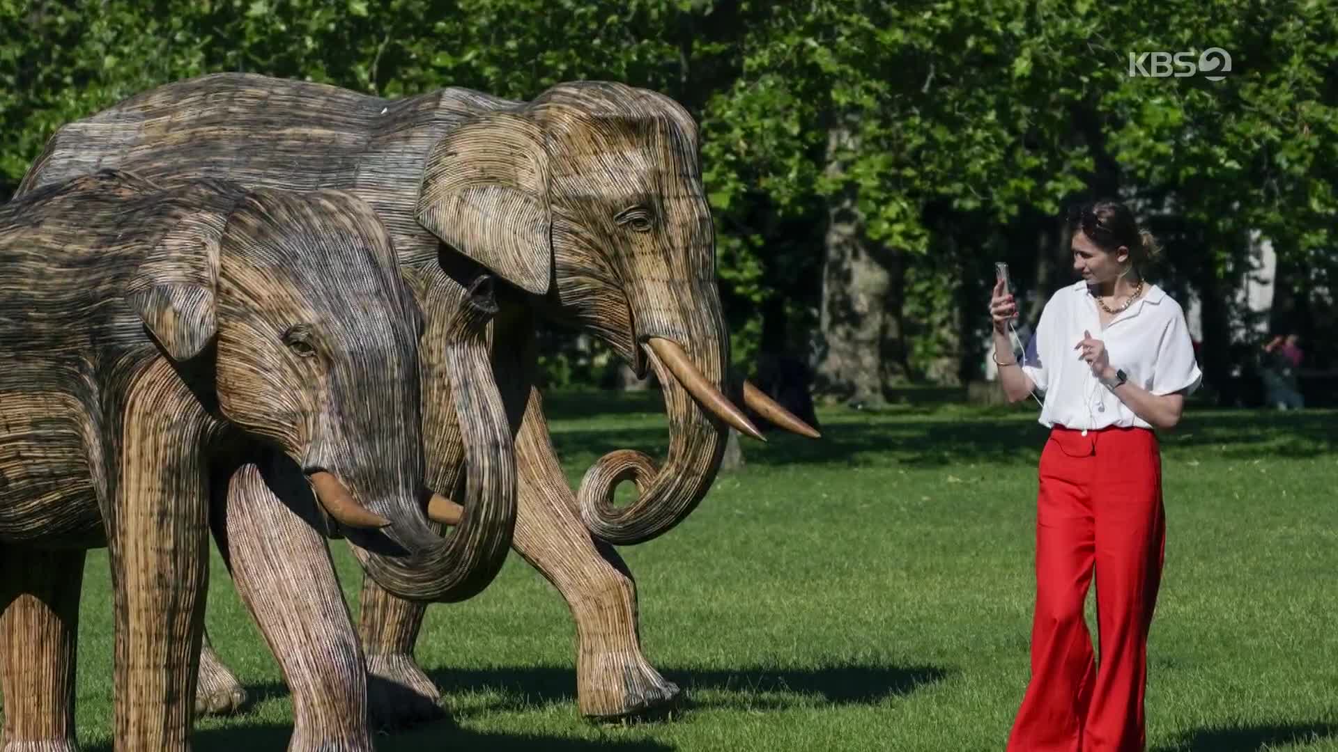 [지구촌 포토] 영국, 실제 크기 코끼리 떼 조각상…동물과 공존하는 삶 강조