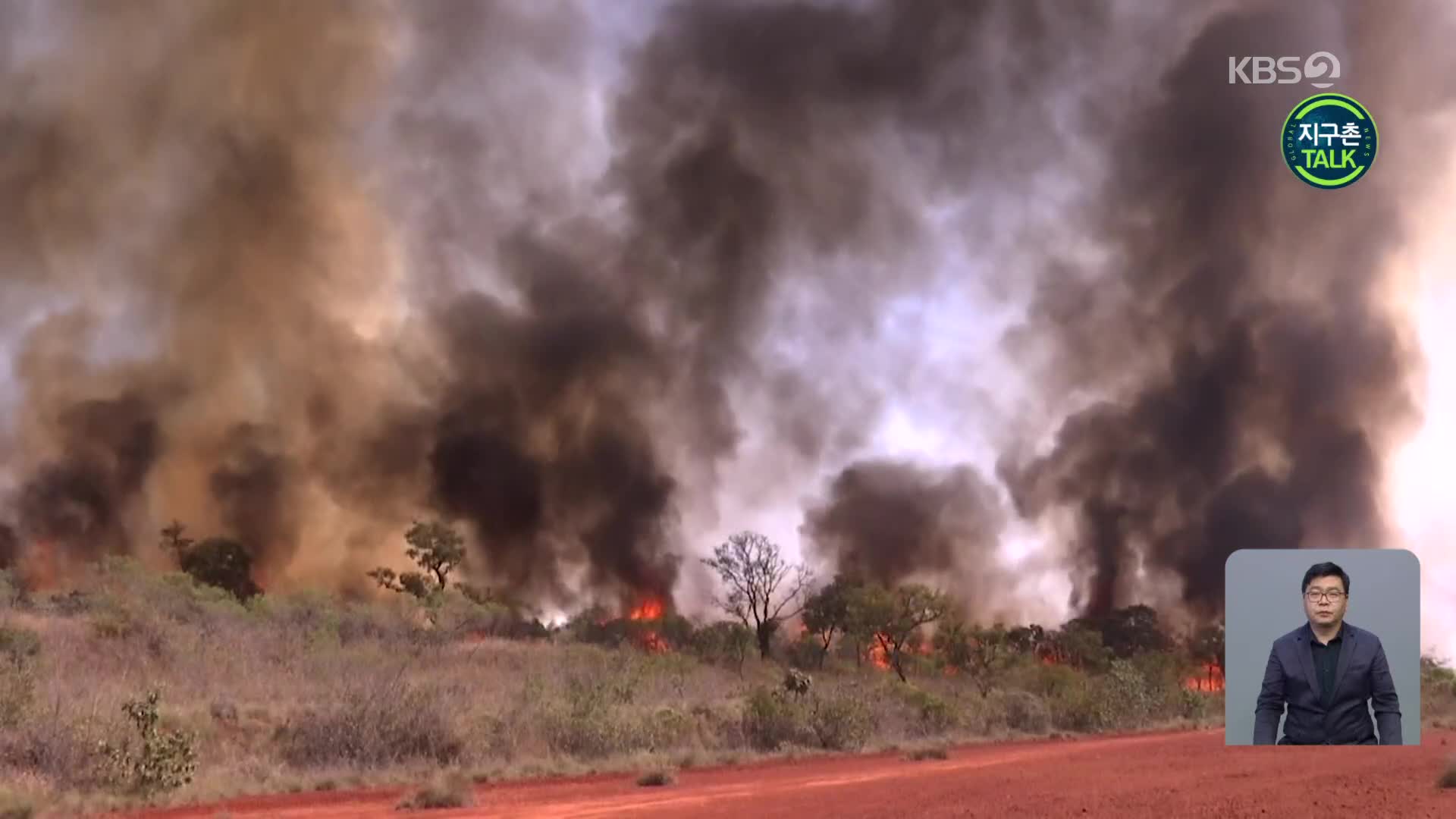 [지구촌 Talk] 상파울루 외곽 주립공원 화재…‘풍등’ 원인