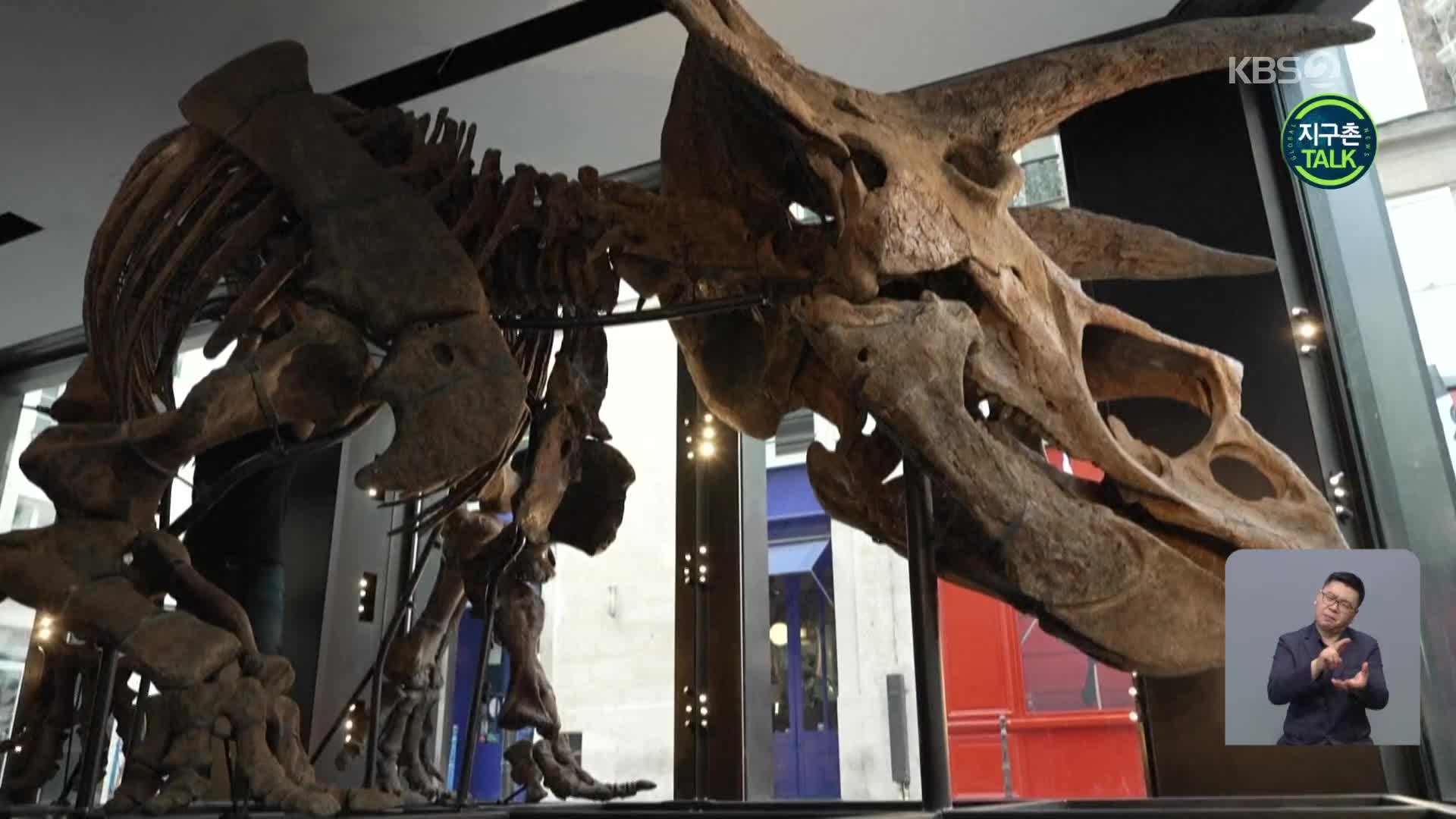 [지구촌 Talk] 세계 최대 크기 트리케라톱스 화석 ‘빅 존’ 경매 예정