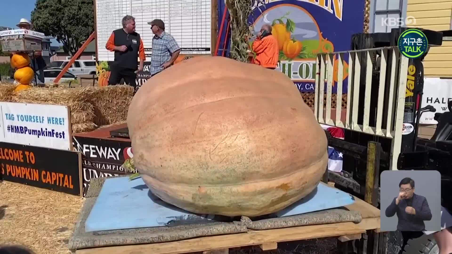 [지구촌 Talk] 큰 호박 경연대회에서 우승한 ‘1톤 호박’