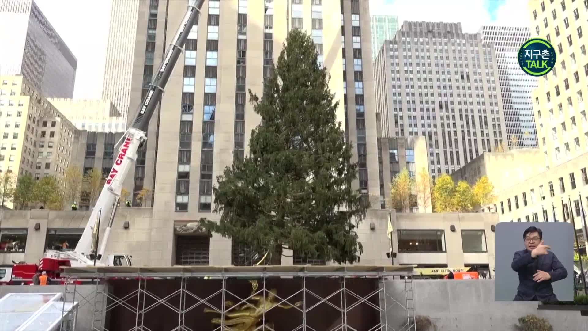 [지구촌 Talk] 뉴욕 록펠러센터에 크리스마스트리 도착