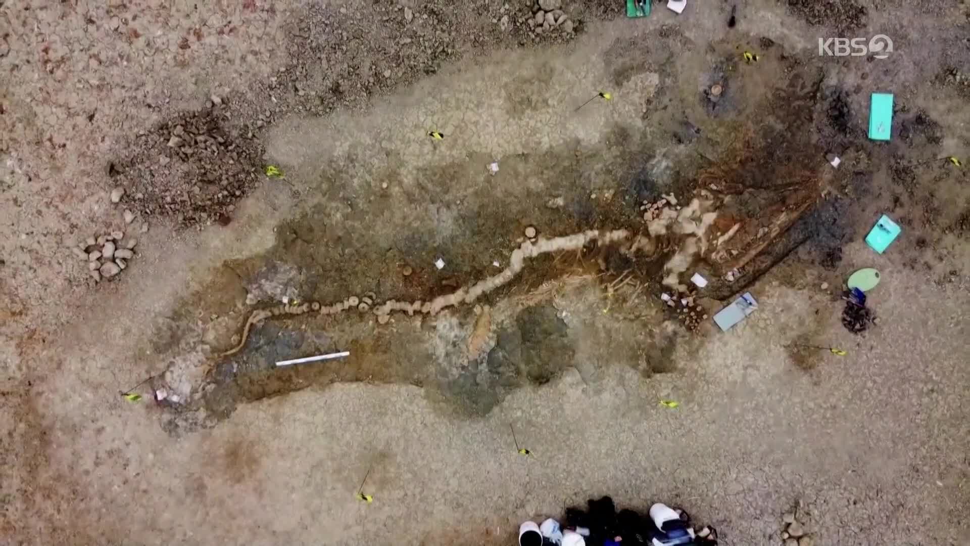 [지구촌 포토] 길이 10m 대형 어룡화석 발견