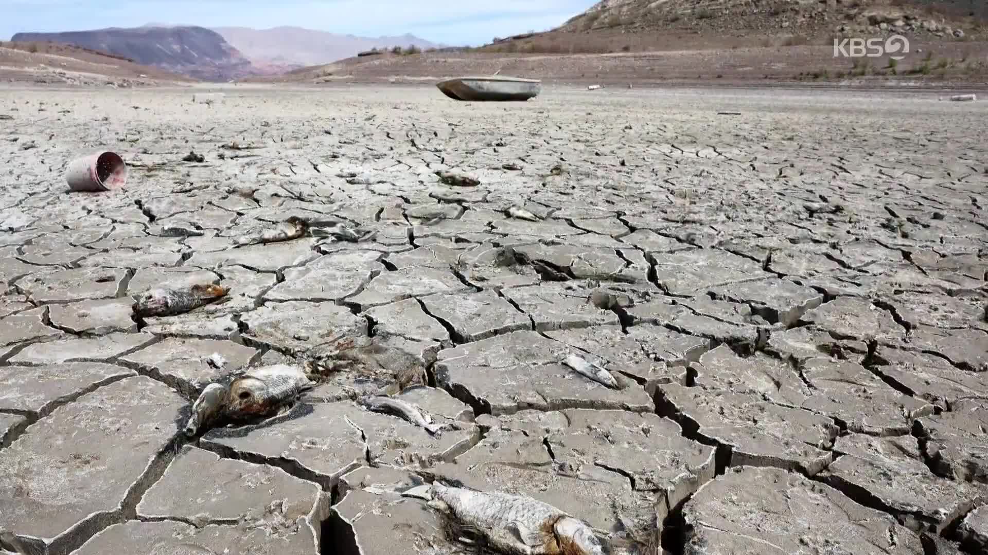 [지구촌 포토] 캘리포니아 남부 물 부족 비상사태