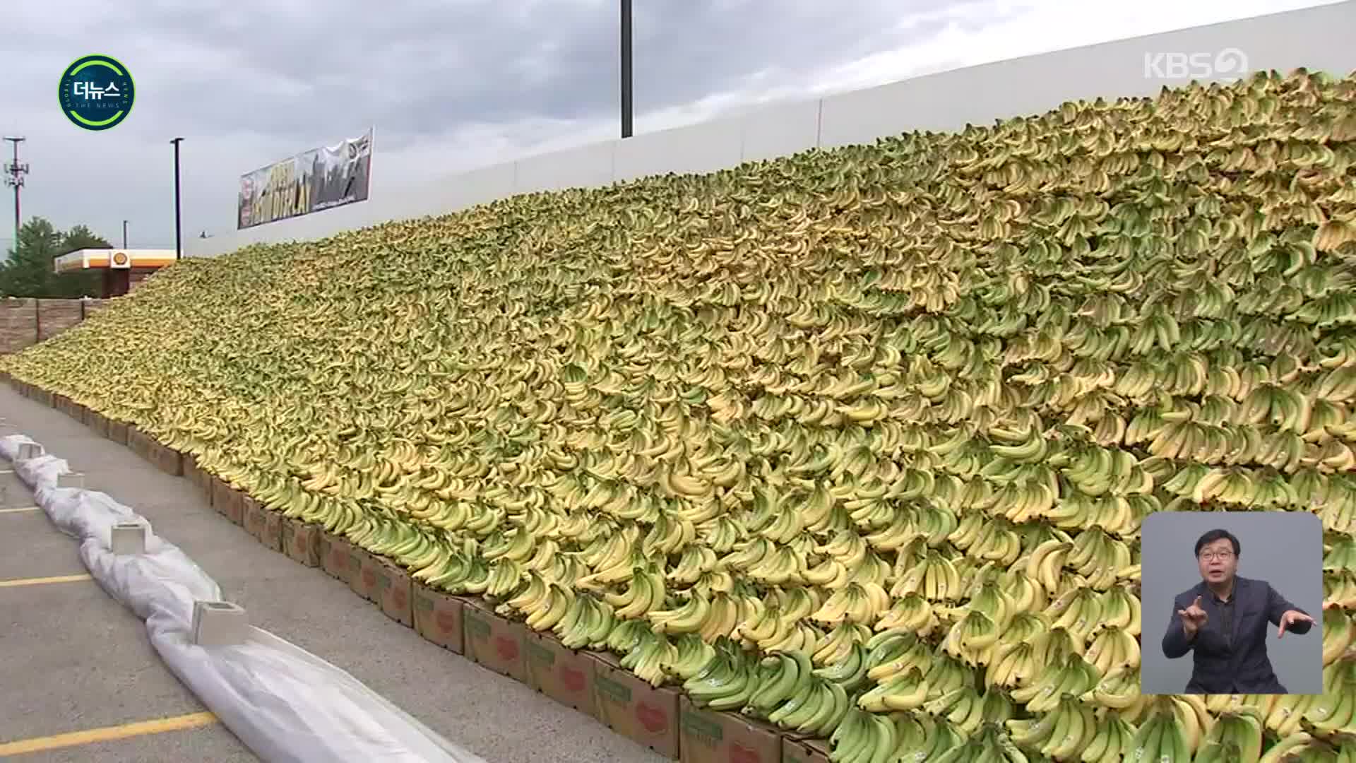 [지구촌 더뉴스] 바나나 31톤 모아 가난한 이웃에게 기부