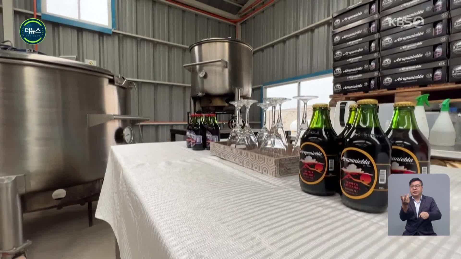 [지구촌 더뉴스] 칠레 고지대 양조장서 생산되는 ‘안개 맥주’
