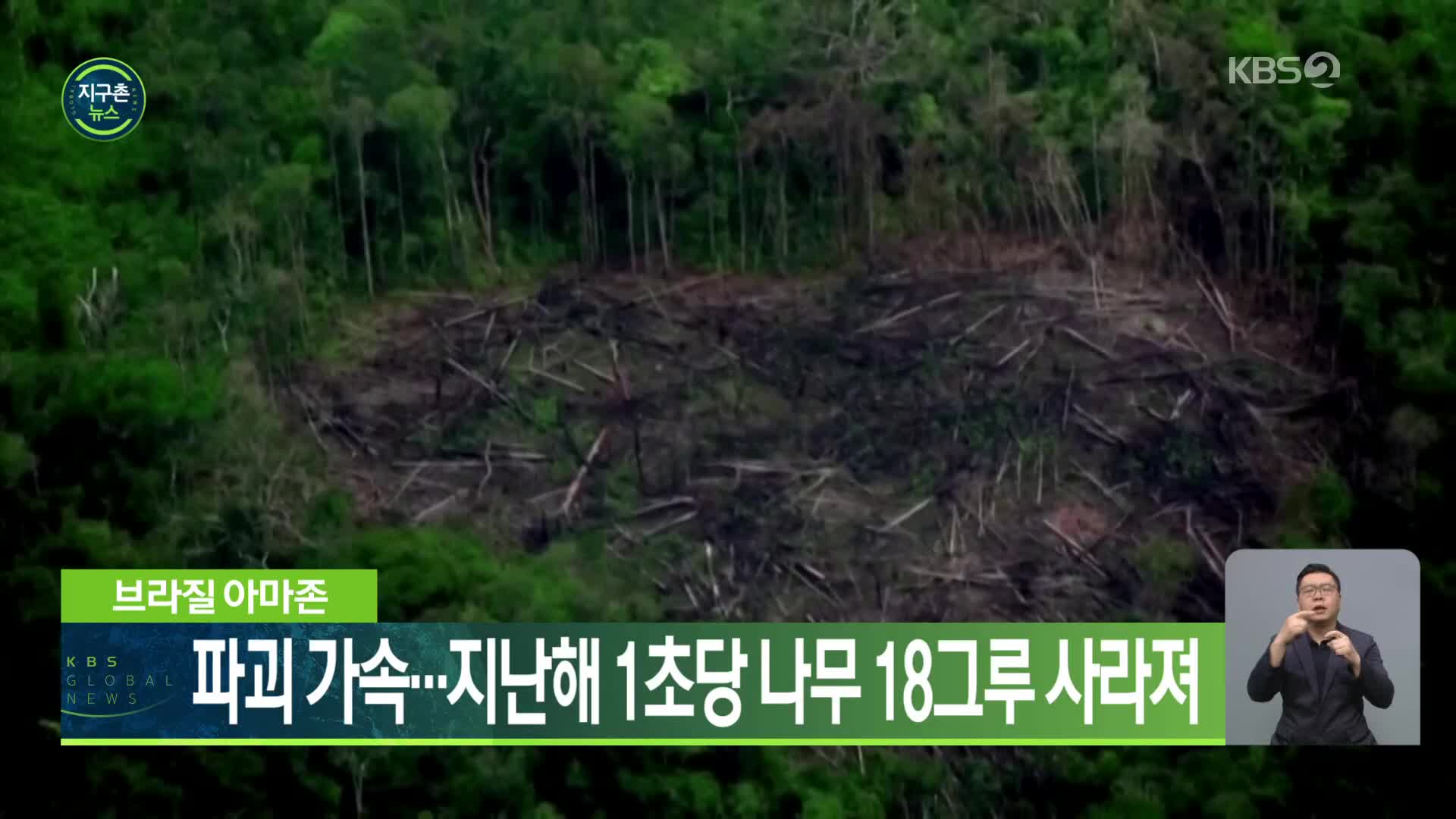 브라질 아마존 파괴 가속…지난해 1초당 나무 18그루 사라져