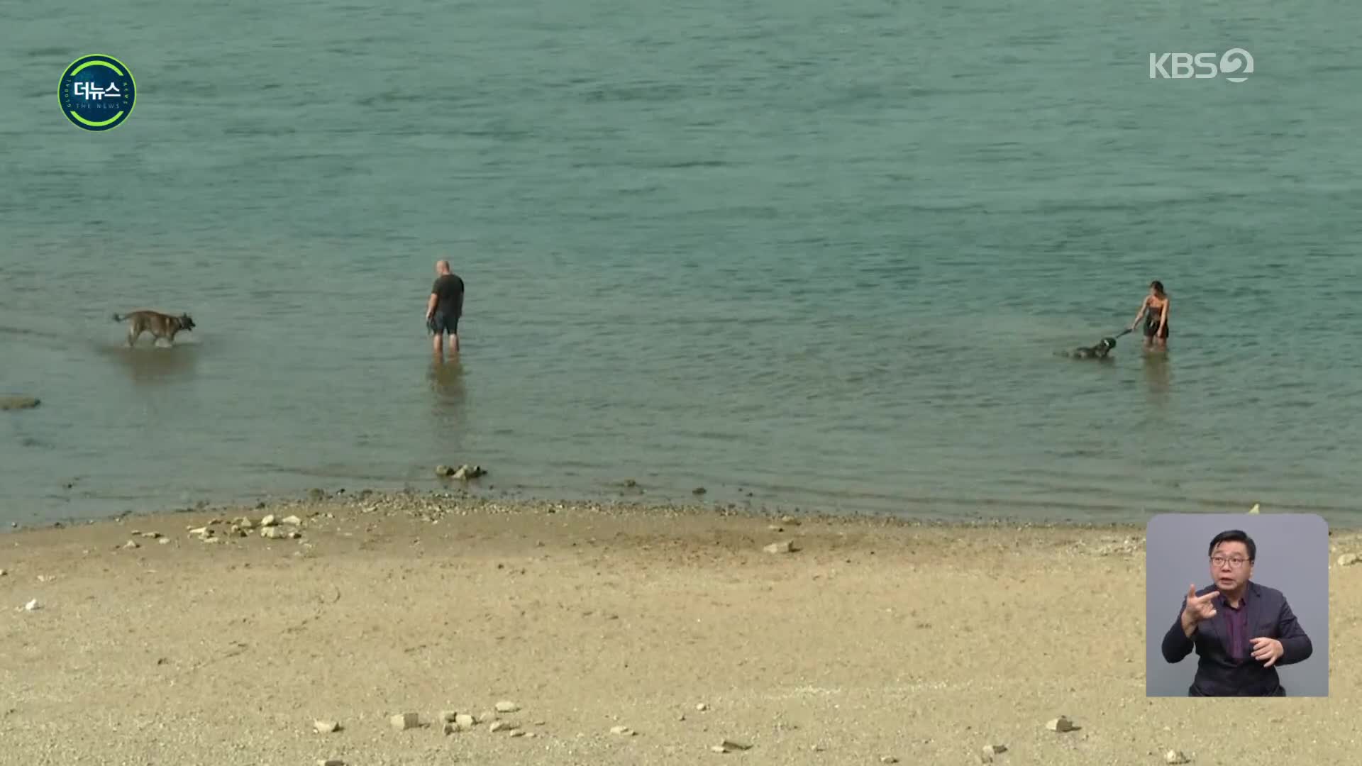 [지구촌 더뉴스] 시민들 물놀이 즐기는 독일 라인강…“가뭄으로 수운 차질”