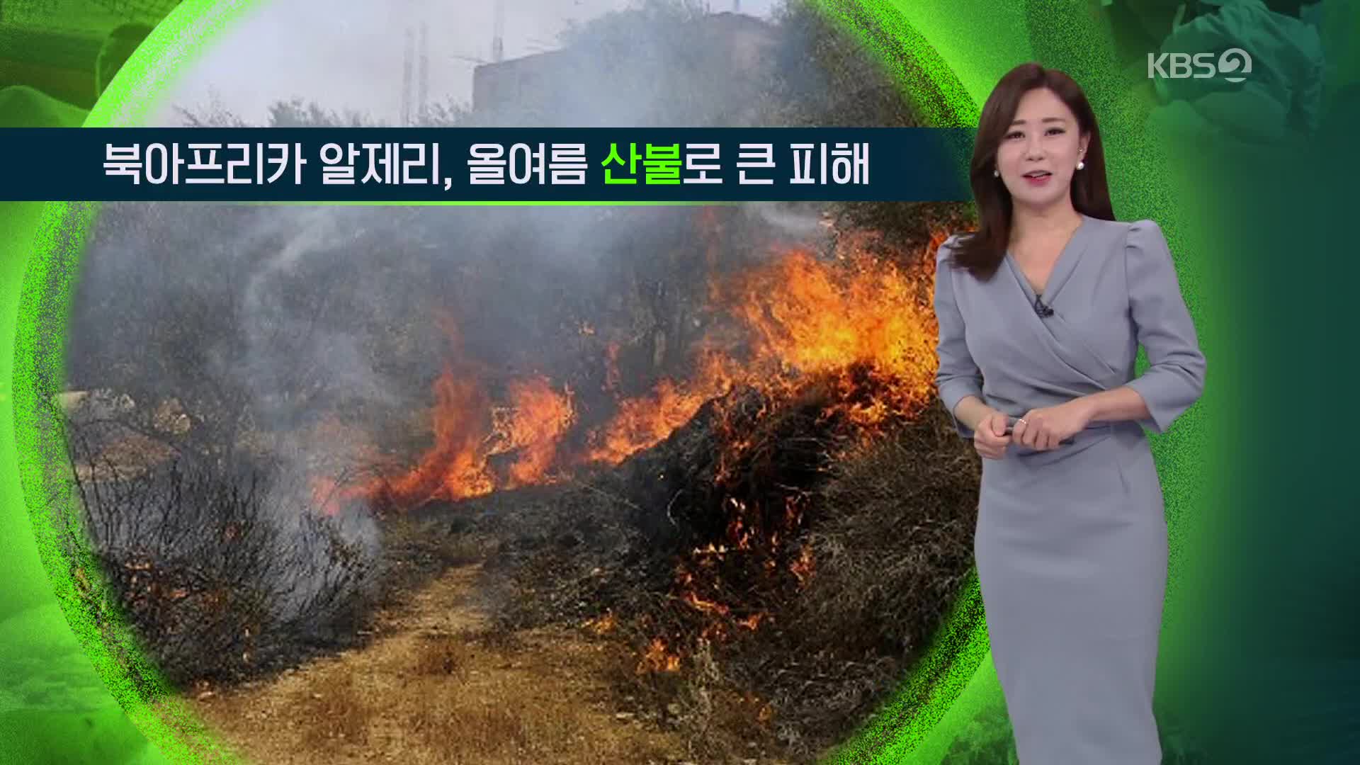 [지구촌 날씨] 북아프리카 알제리, 올 여름 산불로 큰 피해