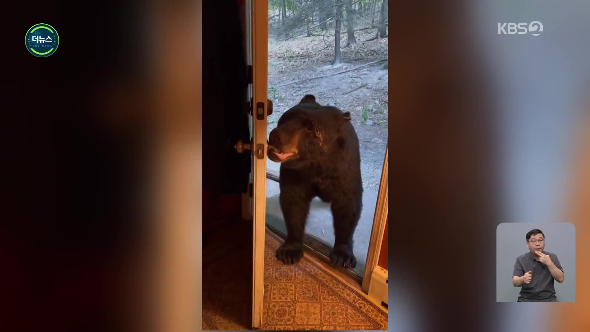 [지구촌 더뉴스] 미국 뉴저지 “문 닫아주세요” 사람 말 듣는 ‘예의 만점’ 야생곰