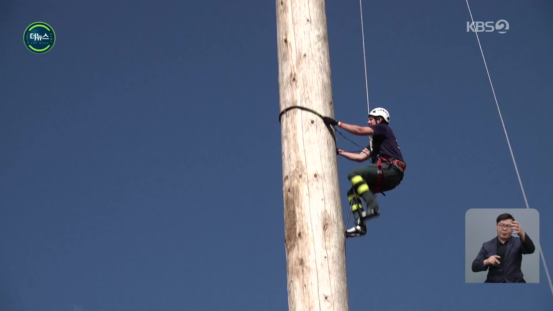 [지구촌 더뉴스] 영국 워릭셔주, ‘인간 다람쥐’들의 대결…높이 25m 나무 기둥 오르기 대회