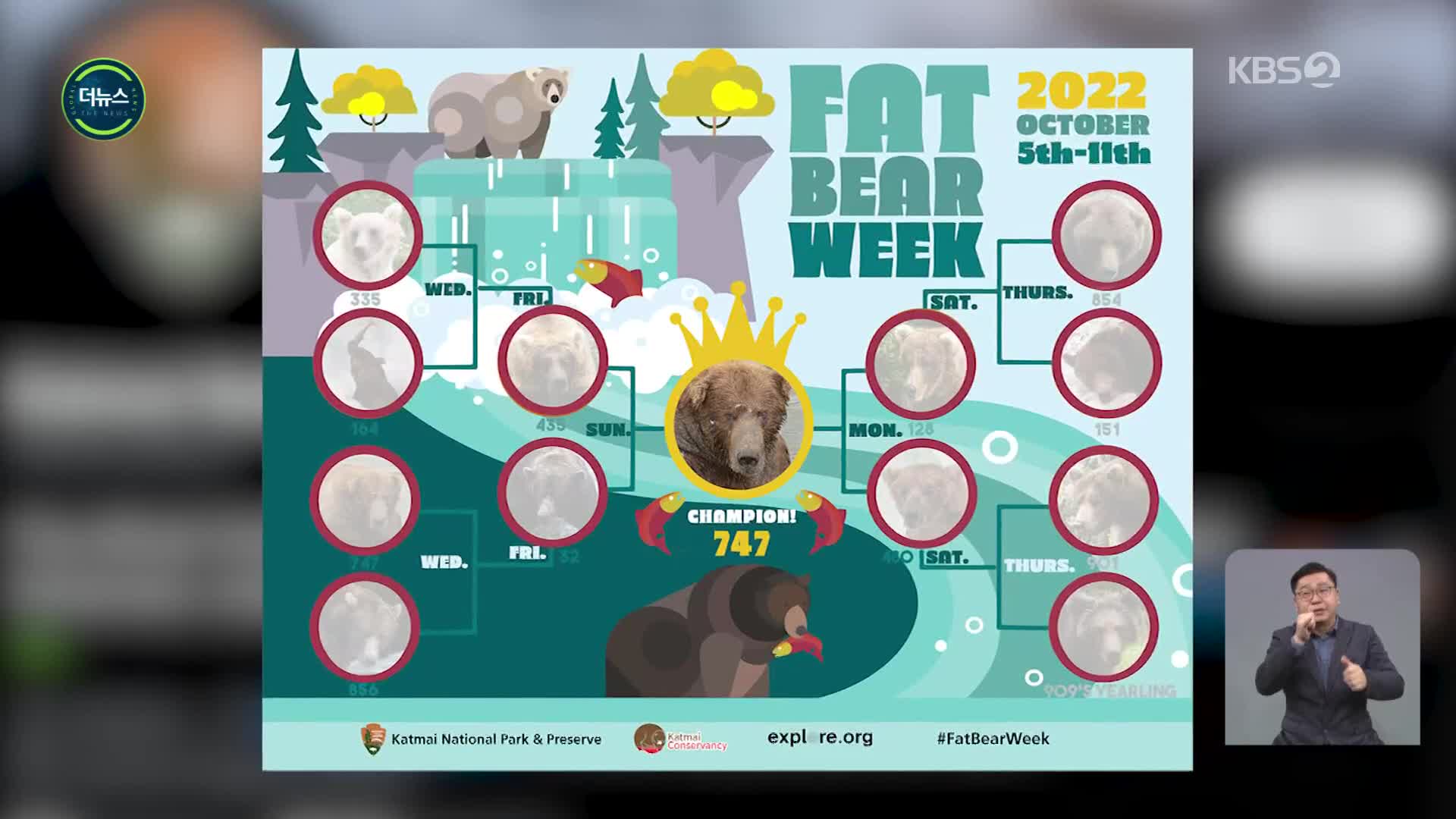 [지구촌 더뉴스] ‘올해의 뚱보 곰’은?…미 국립공원 이색 선발대회