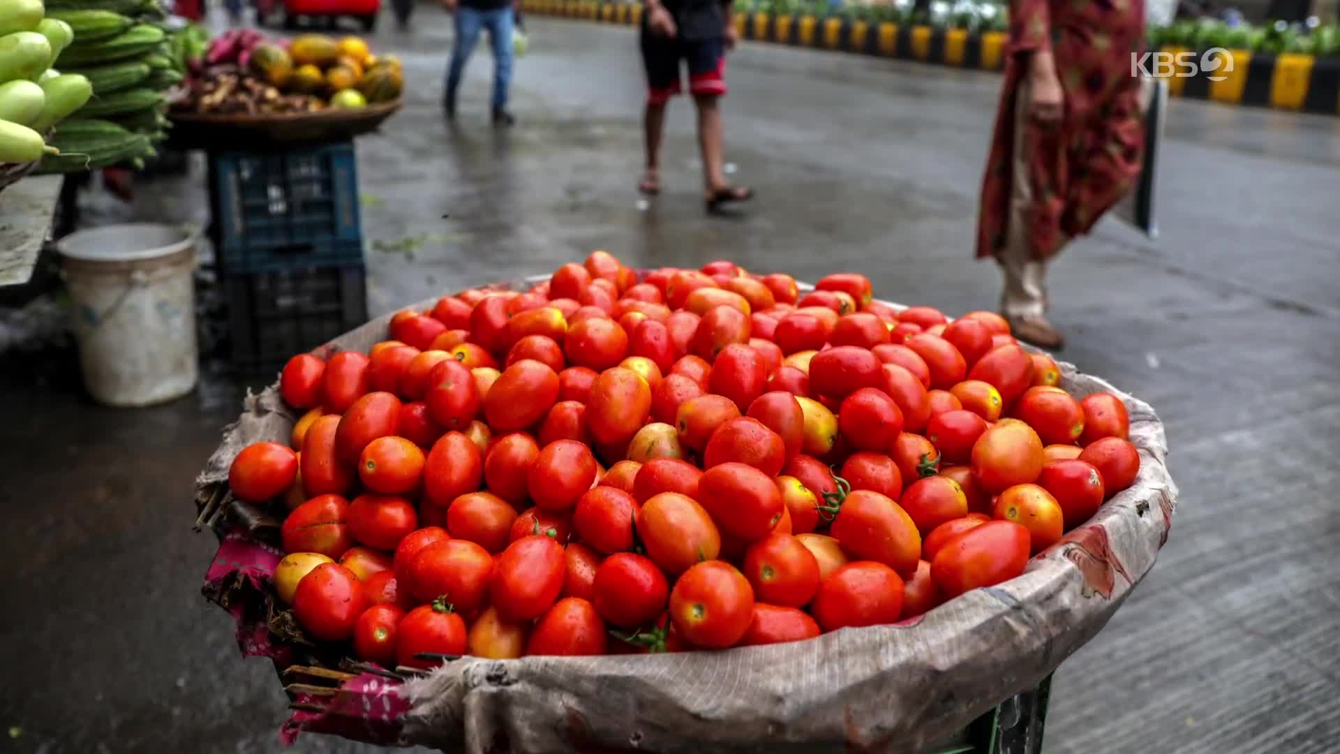 [지구촌 포토] 국민 식재료 가격이 8배 폭등…기후변화가 위협하는 식탁
