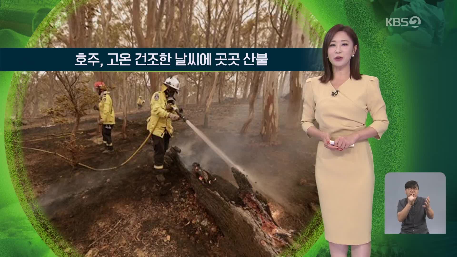 [지구촌 날씨] 호주, 고온건조한 날씨에 곳곳 산불