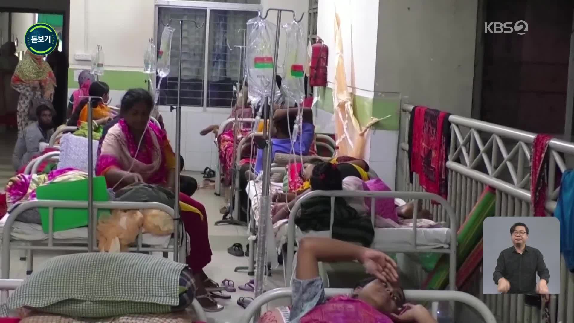 [지구촌 돋보기] 방글라데시 뎅기열 사망자 급증…원인은?