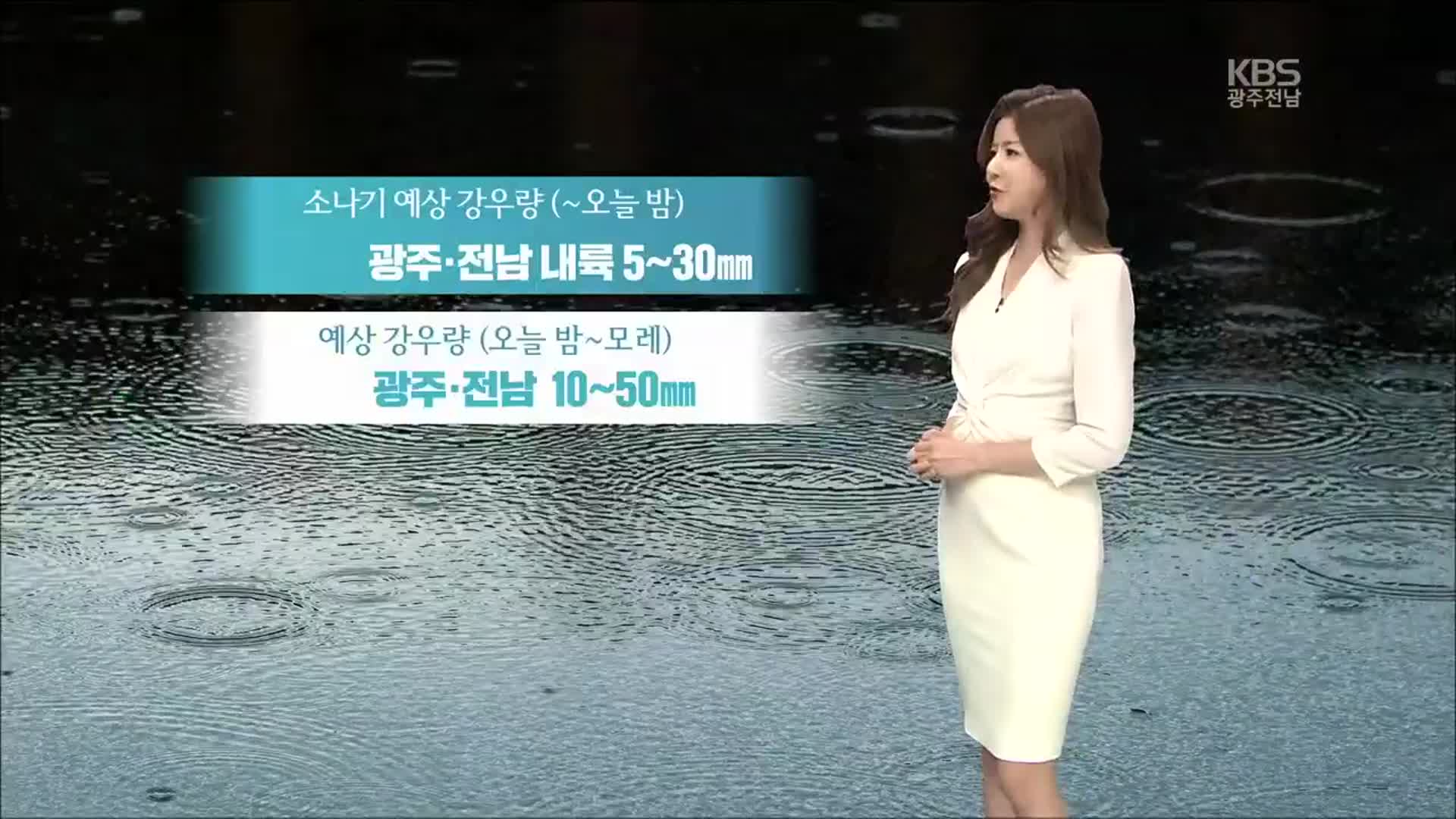 [날씨] 광주·전남 이번 주 비 소식 잦아…오늘 밤부터 비