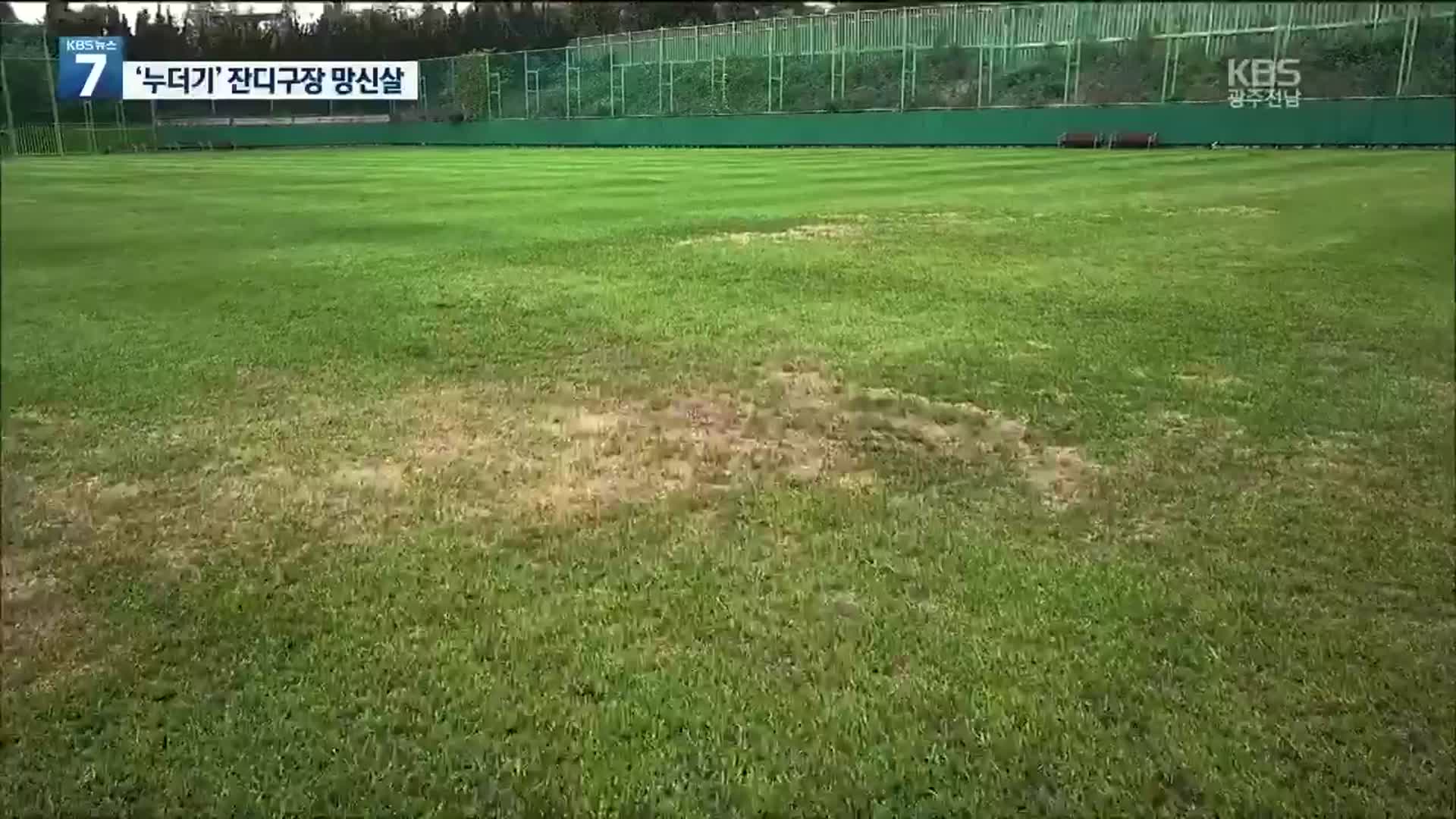프로 경기장 맞나?…광주 전용축구장 잔디 관리 ‘엉망’