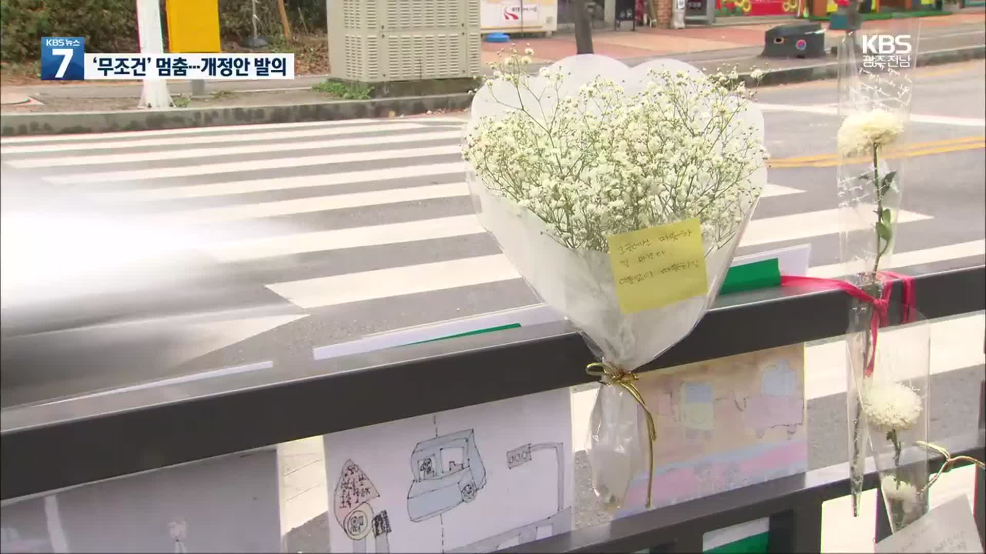 스쿨존 횡단보도 ‘무조건 일시정지’ 추진