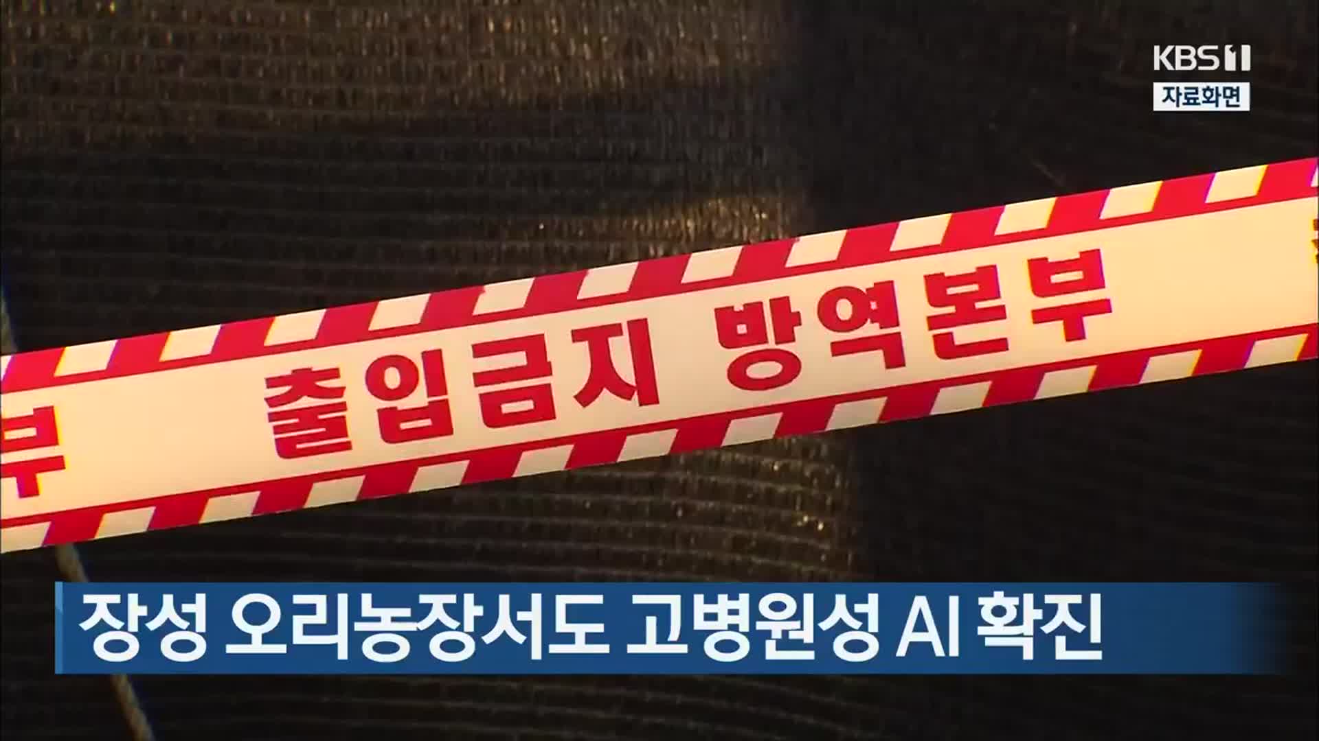 장성 오리농장서도 고병원성 AI 확진