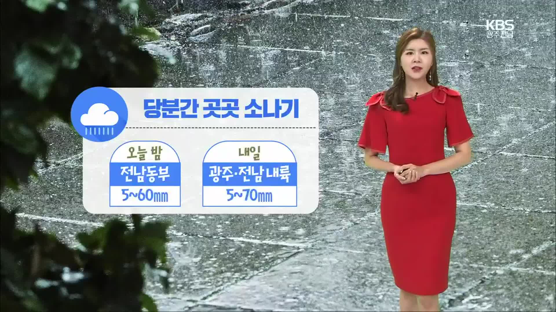 [날씨] 광주·전남 당분간 곳곳 소나기…시간당 30~50mm