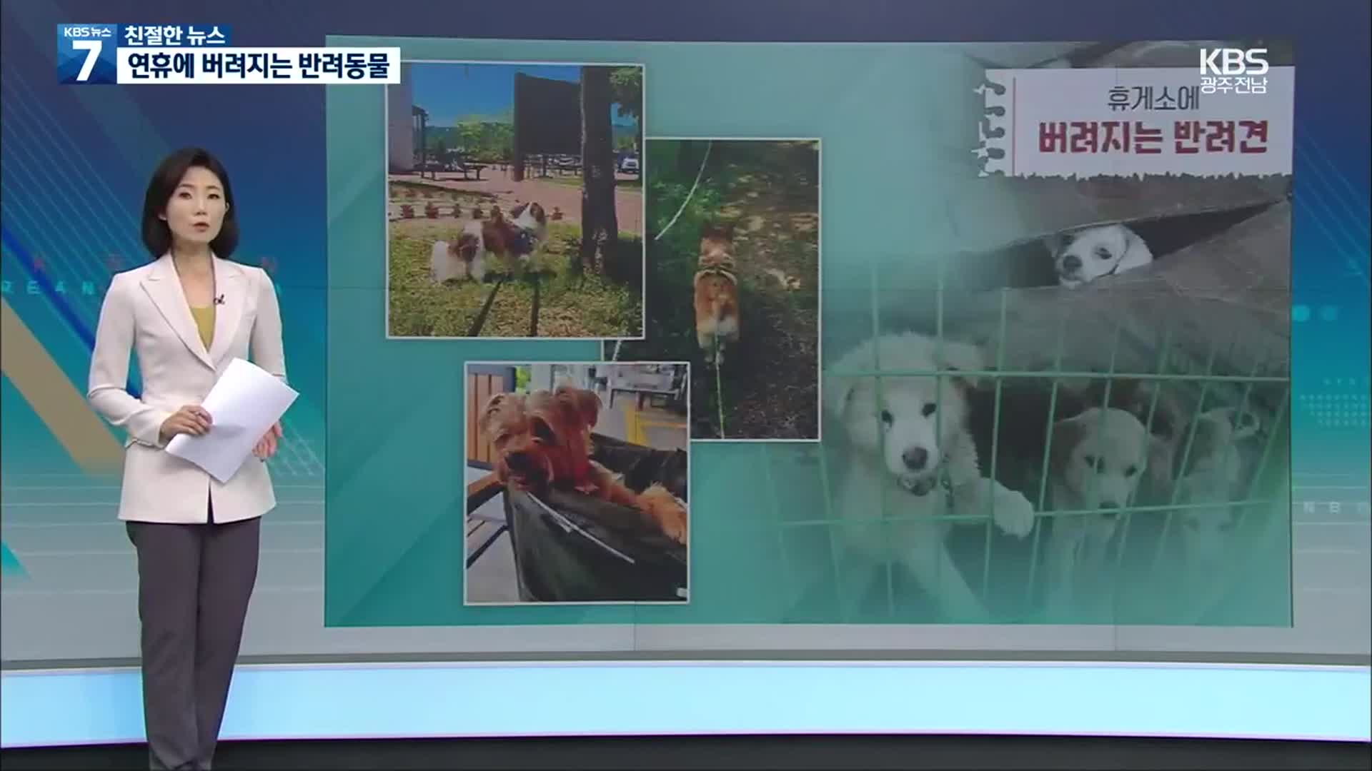 [친절한 뉴스] 추석 직전 2천 마리 버려졌다…연휴 두려운 동물들