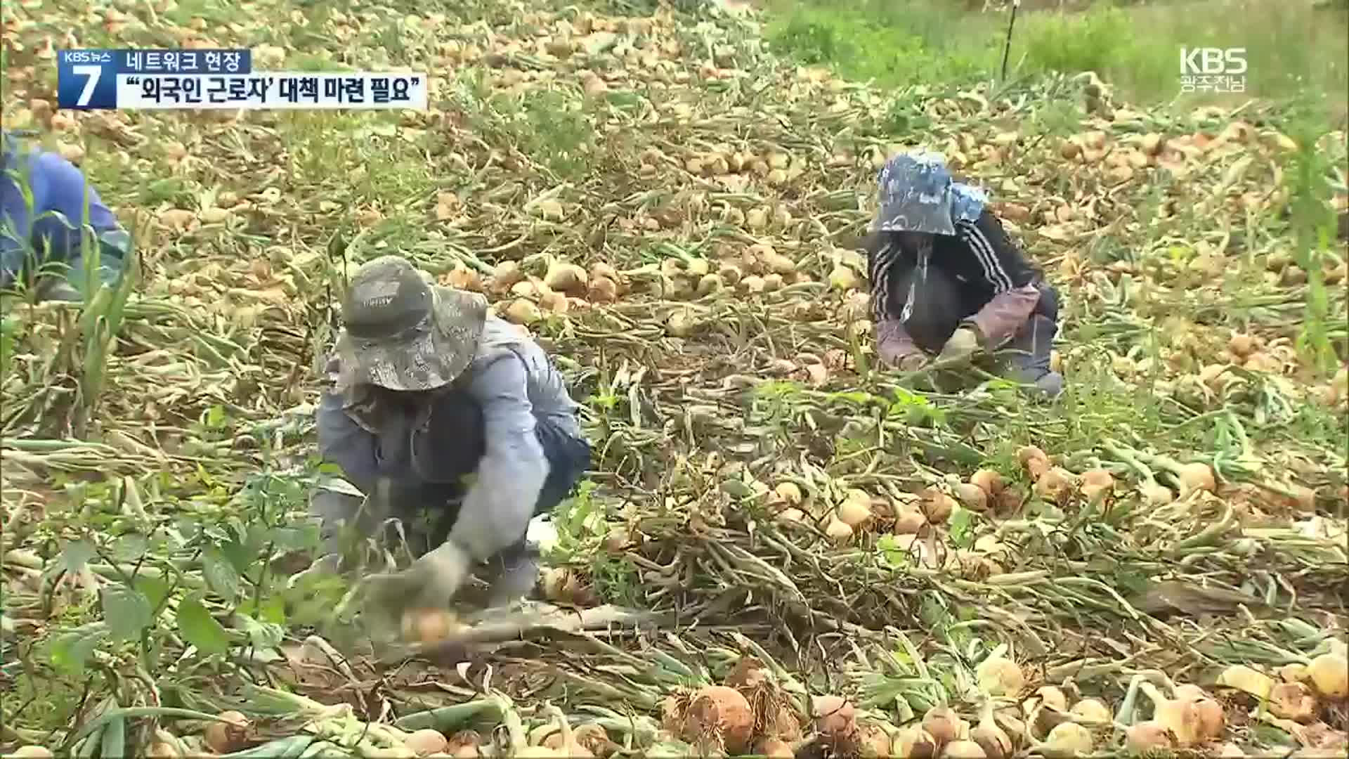 [여기는 전남] 전남도의회 “외국인 인력 공급시장 개선하라”