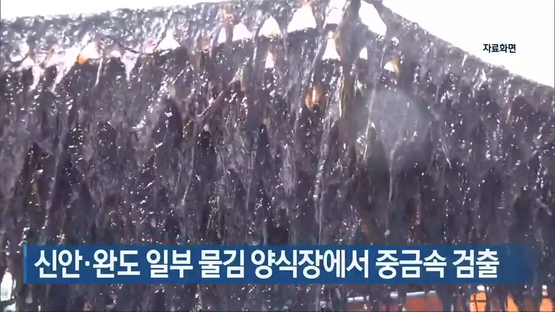 [여기는 전남] 신안·완도 일부 물김 양식장에서 중금속 검출 외