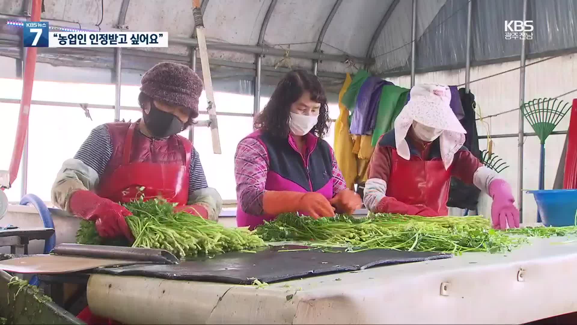 ‘농업인’ 인정 못 받는 여성 농민