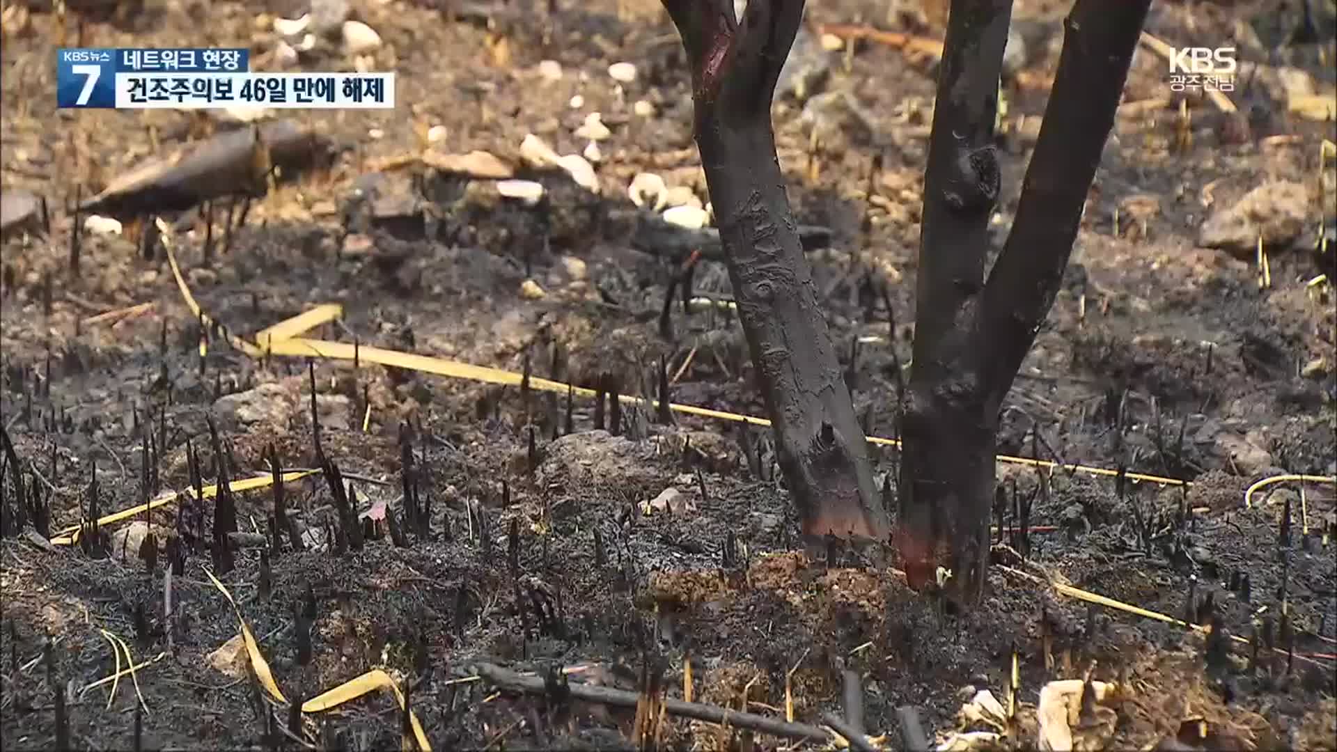 [여기는 전남] 전남 동부권에 단비…산불 위험 벗어났다