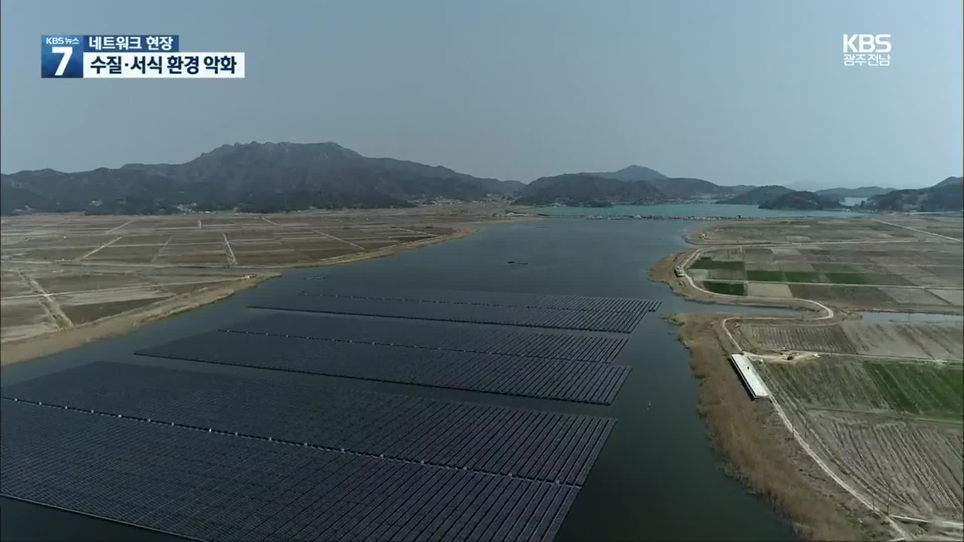 [여기는 전남] 수상 태양광 고흥 해창만…서식 환경 파괴?