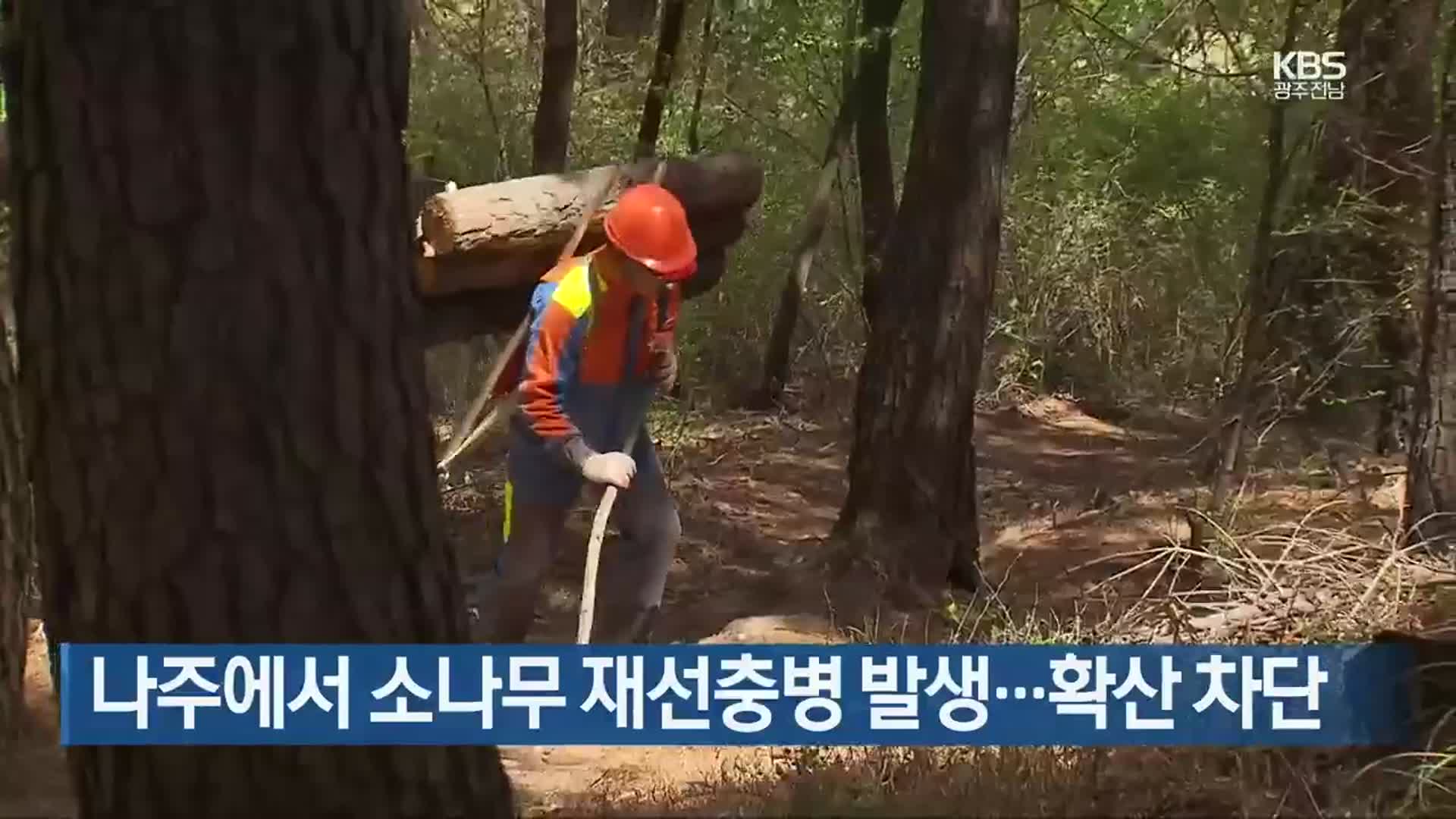 [간추린 뉴스] 나주에서 소나무 재선충병 발생…확산 차단 외