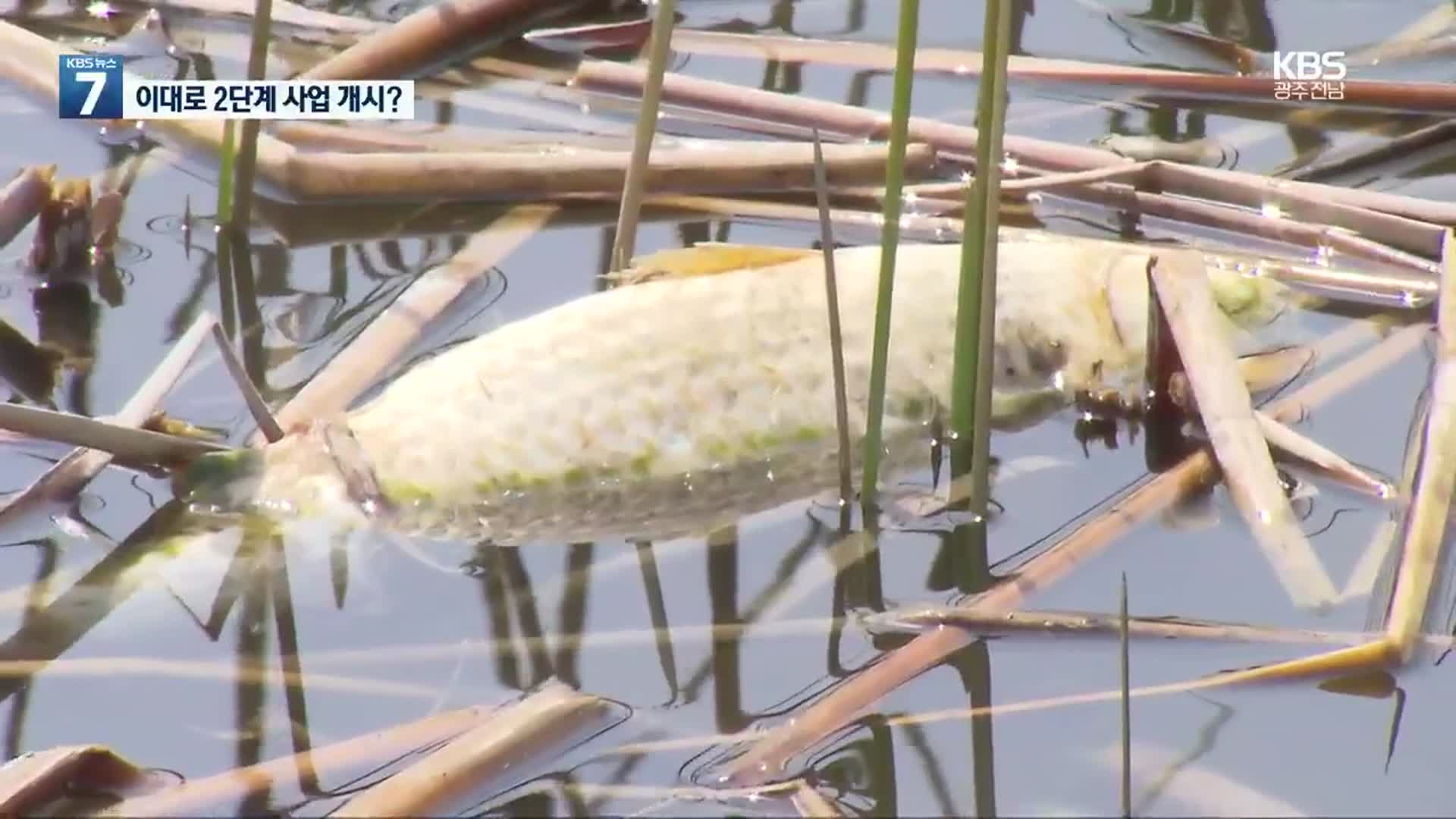 물고기 천 마리 폐사…사업자 보고서에는 누락