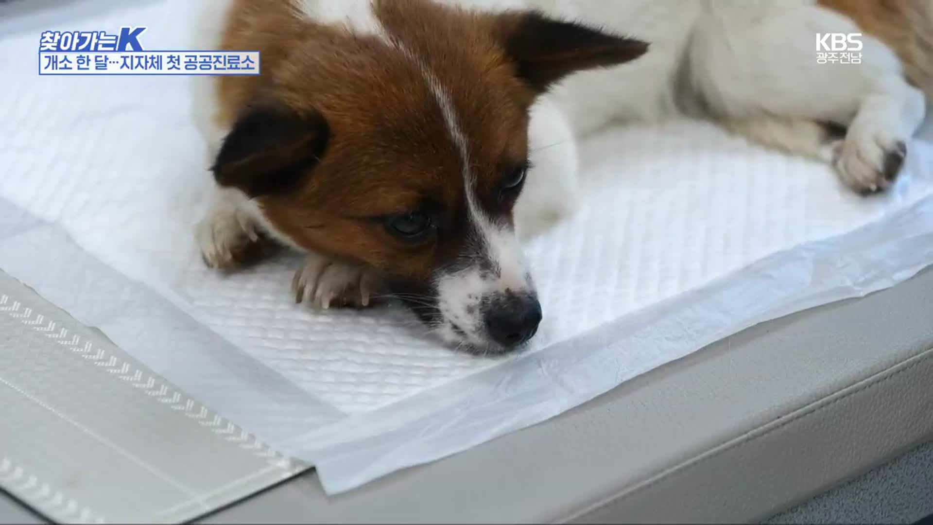 [찾아가는K] 개소 한 달…지자체 첫 공공진료소