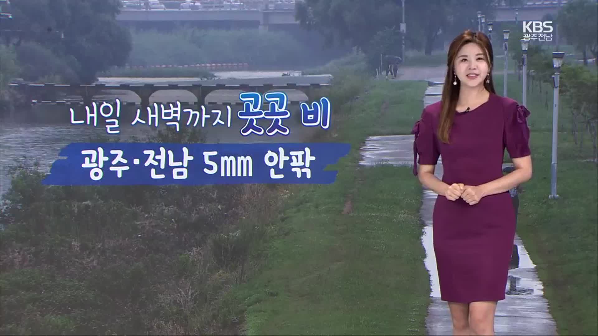 [날씨] 광주·전남 내일 새벽까지 비…오후부터 다시 맑고 더워져