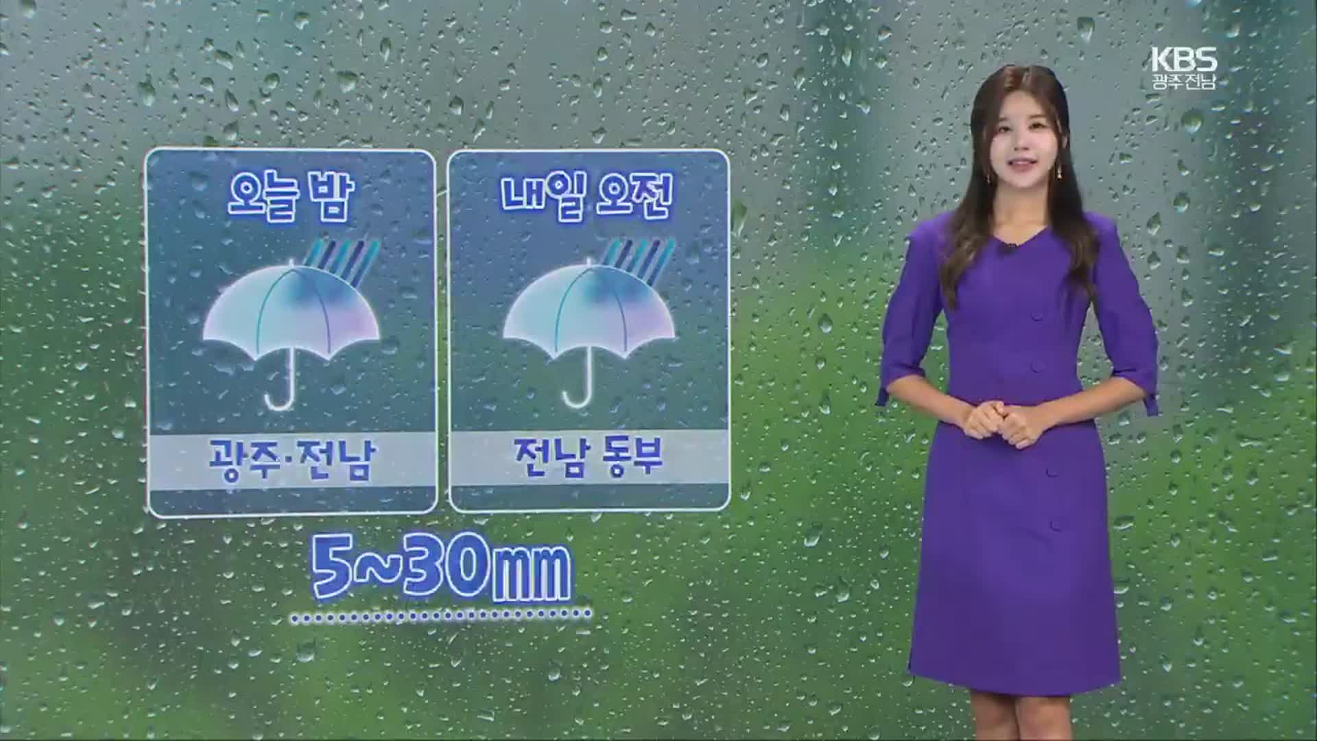 [날씨] 광주·전남 곳곳 내일 오전까지 비…내륙 30도 안팎 더위