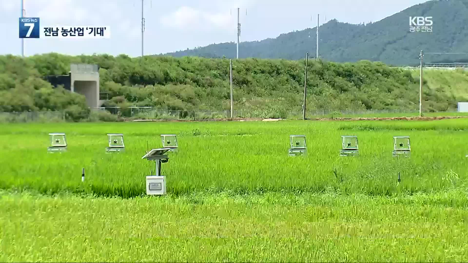 농업 컨트롤타워…농식품 기후변화센터 내년 착공