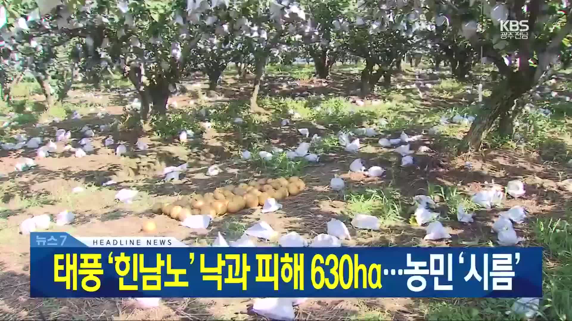 [뉴스7 광주·전남 헤드라인]