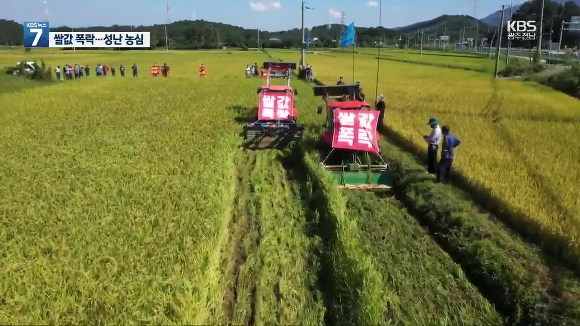 “쌀값 보장하라”…추수 앞둔 논 갈아 엎은 성난 농심