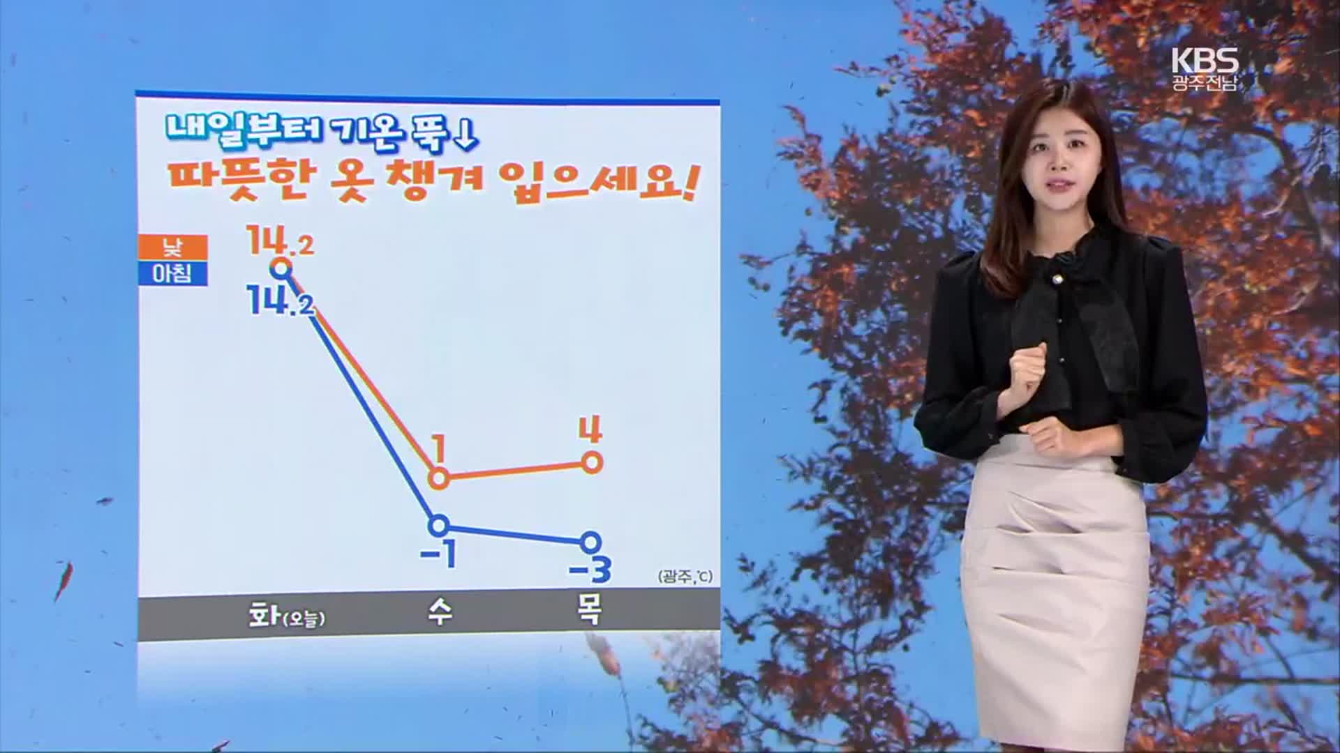 [날씨] 광주·전남 전 지역 한파 특보…일부 첫눈 내릴 수도