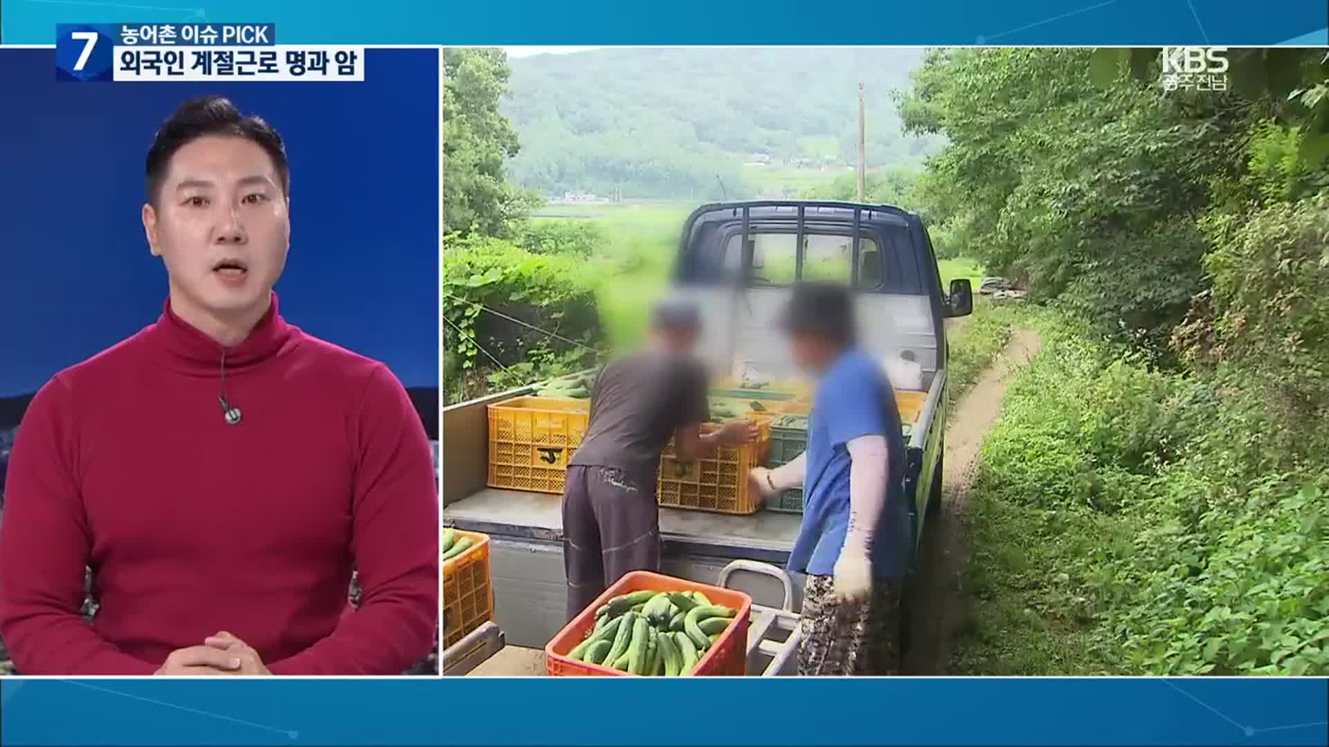 [농어촌 이슈 PICK] 외국인 계절근로 명과 암…“봄나들이 전남으로”